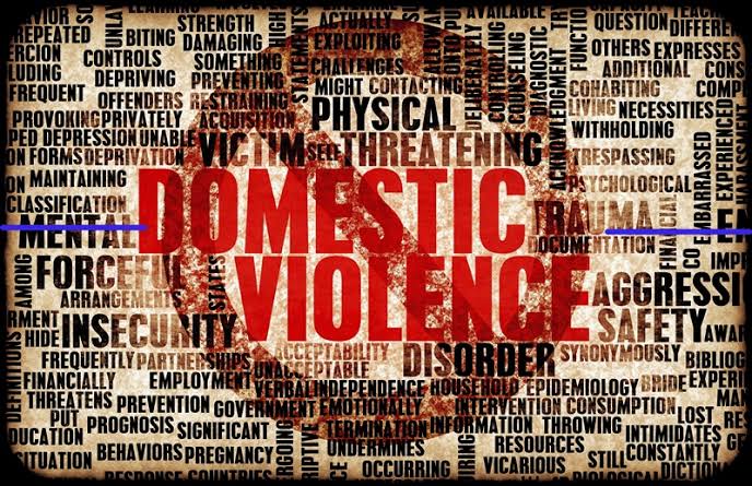 Domestic violence lawyer in Supreme Court Delhi providing legal services for domestic violence cases, protection orders, maintenance claims, child custody, matrimonial disputes, Supreme Court appeals and family law representation.