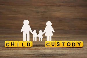 CHILD CUSTODY & MAINTENANCE in Supreme Court Delhi: Complete Legal Guide to Custody Rights, Maintenance & Supreme Court Appeals