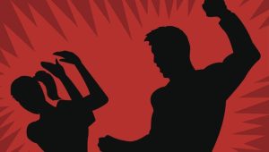 Domestic Violence Lawyer in Supreme Court Delhi: Complete Legal Guide to Protection Orders, Appeals & Legal Remedies