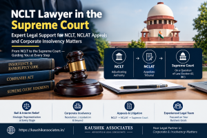 NCLT lawyer in the Supreme Court: NCLT, NCLAT Appeals and Corporate Insolvency Matters